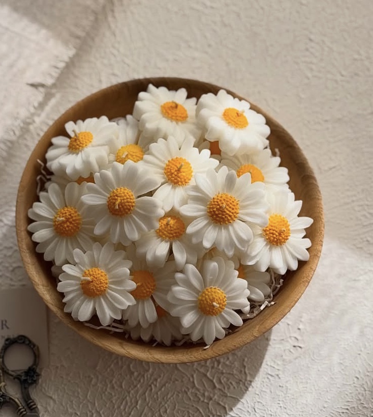 شمع بابونه
